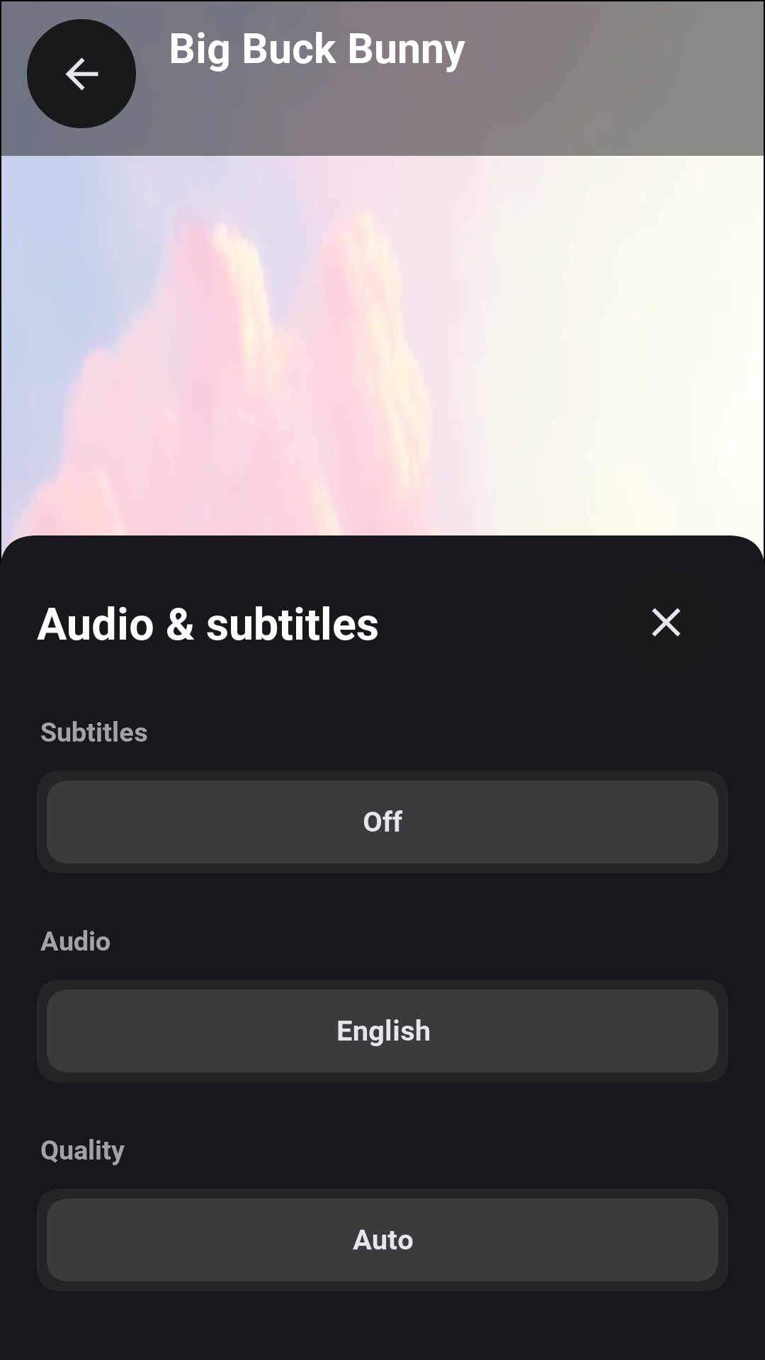 The Audio and subtitles sheet over the bottom of the player, with choices for subtitles, the audio track and the streaming quality